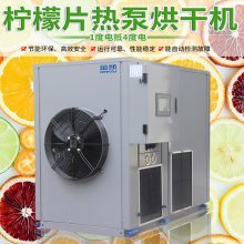 高效節(jié)能的果蔬烘干機 檸檬片、藍(lán)莓、芒果、檳榔等水果干制作利器
